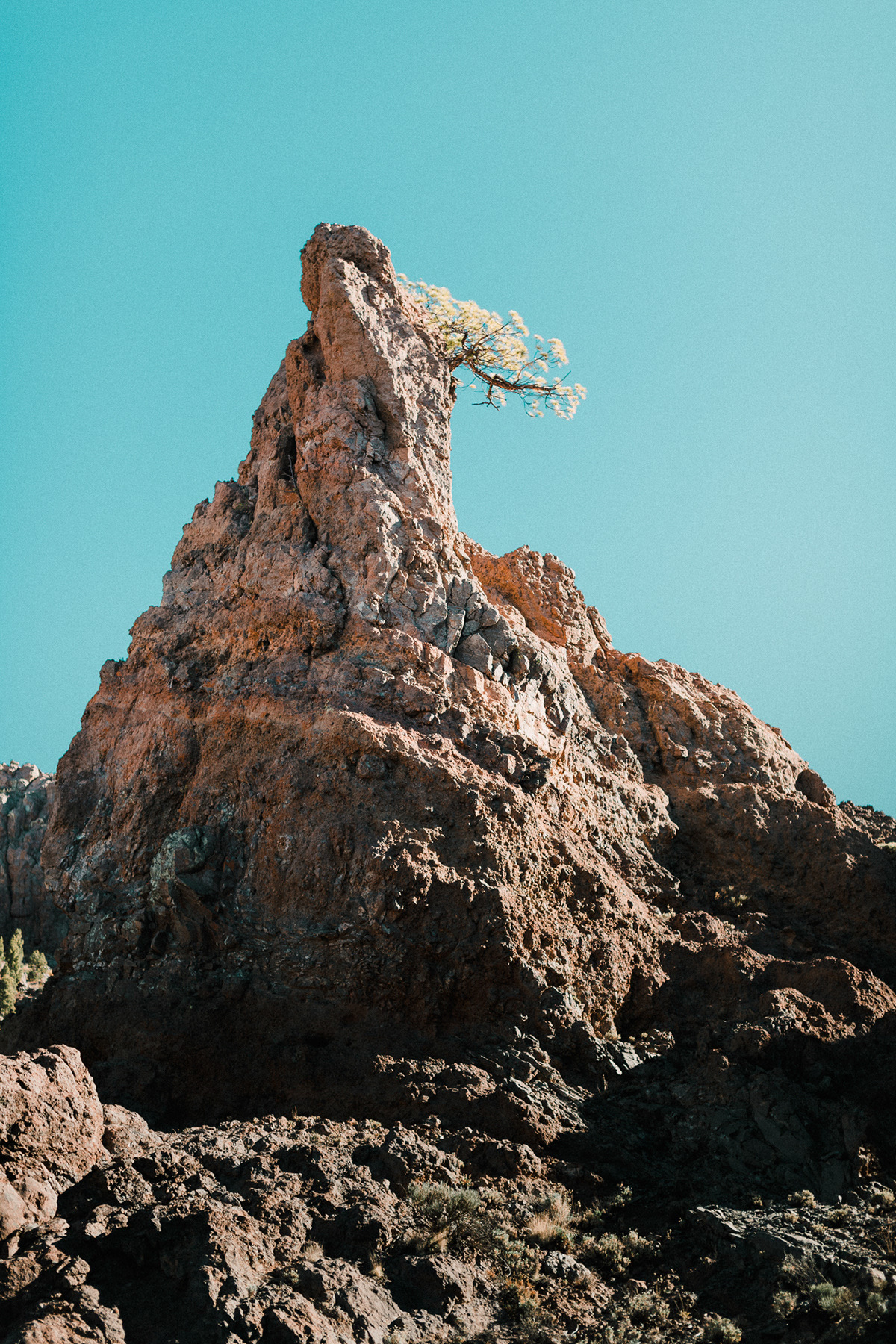 Tenerife-Nature